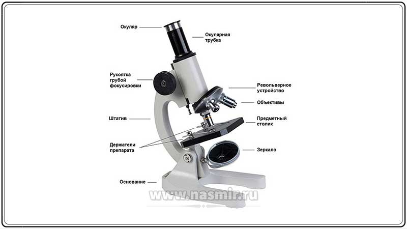 Как выглядит микроскоп и как он устроен