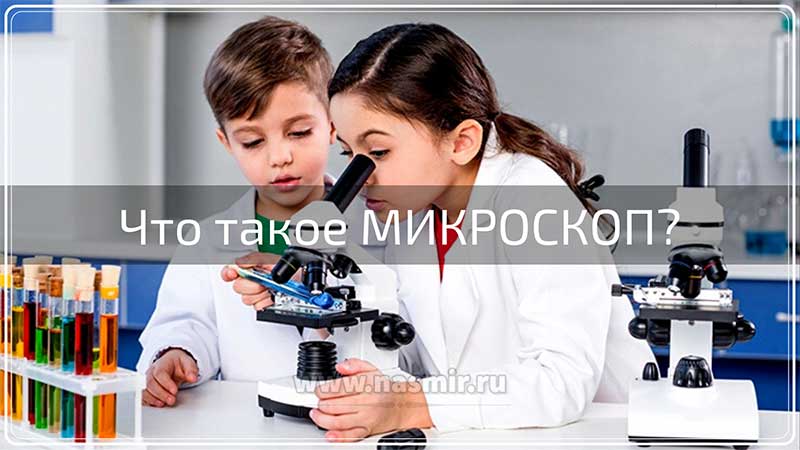 Микроскоп — это оптический прибор, позволяющий получить увеличенные изображения мелких предметов.