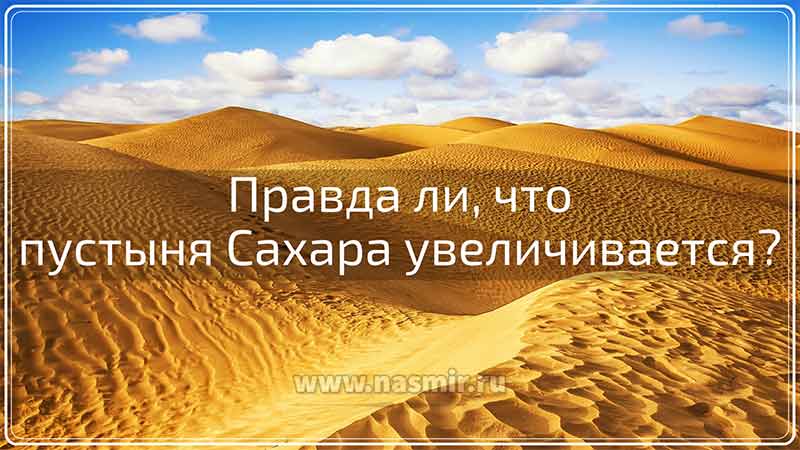 Правда ли, что пустыня Сахара увеличивается? Песчаные участки Сахары называют эргами.